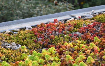 the cost of West Wittering green roof installation