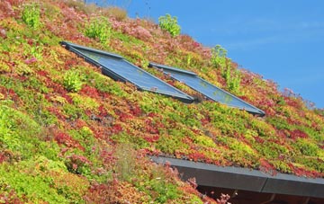 West Wittering living roof systems