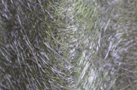 West Wittering fibreglass roof work